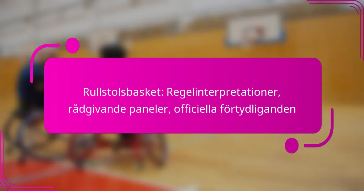 Rullstolsbasket: Regelinterpretationer, rådgivande paneler, officiella förtydliganden