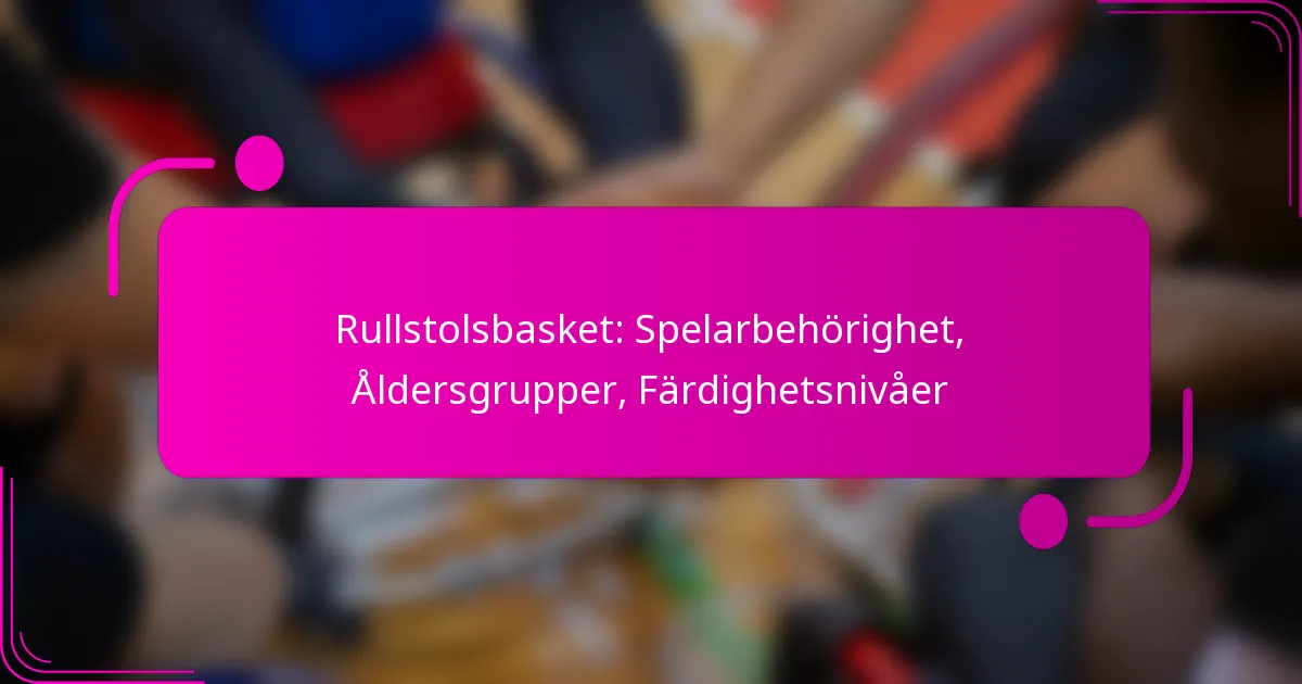 Rullstolsbasket: Spelarbehörighet, Åldersgrupper, Färdighetsnivåer
