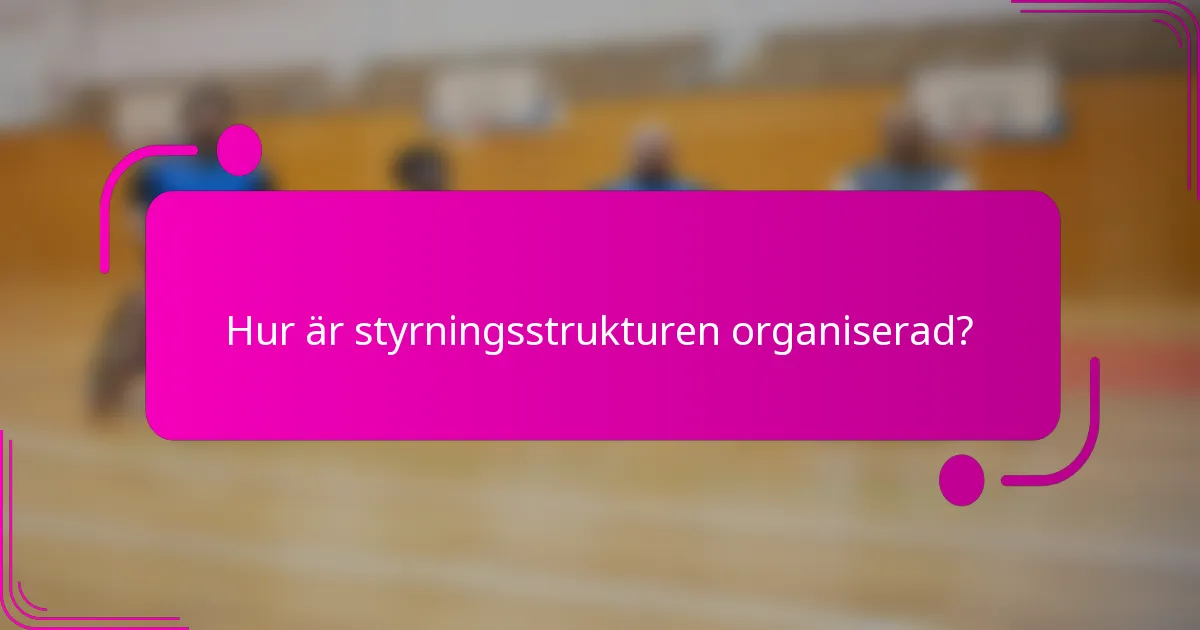 Hur är styrningsstrukturen organiserad?
