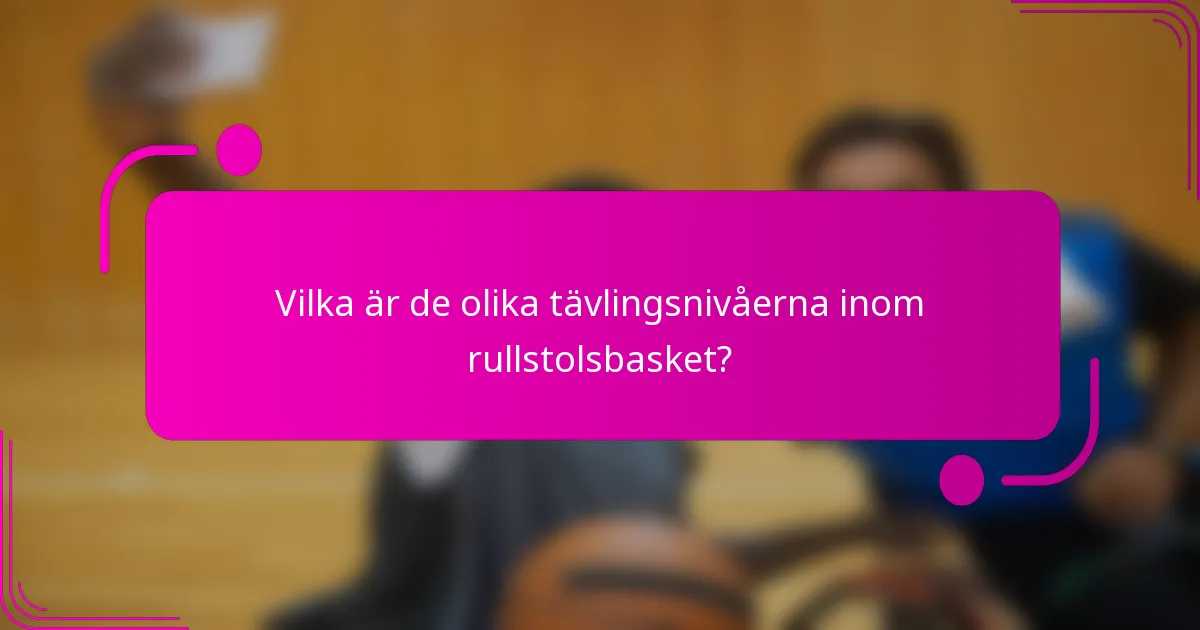 Vilka är de olika tävlingsnivåerna inom rullstolsbasket?