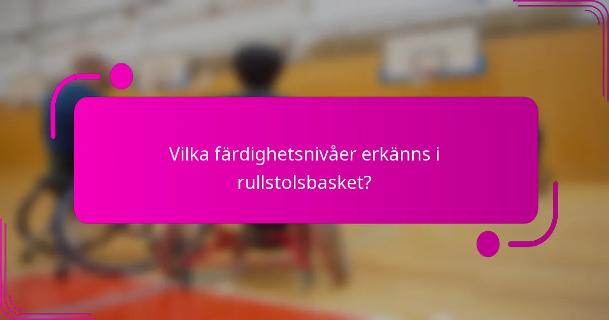 Vilka färdighetsnivåer erkänns i rullstolsbasket?