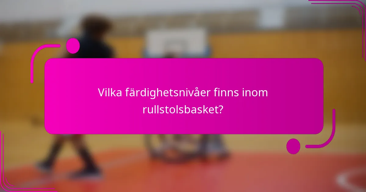 Vilka färdighetsnivåer finns inom rullstolsbasket?
